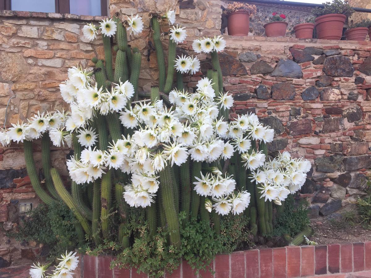 Gasthaus Mas Tomas Vall-Llobrega Exterior foto